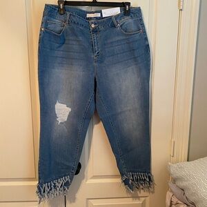 Cato Blue Ankle Cropped Jeans with Frayed Hem 20W